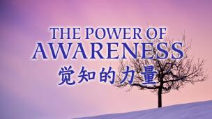 《觉知的力量 》免费试看